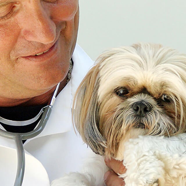 Avoiding vet fear
