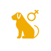 Female Icon Hover
