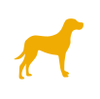 Giant Icon Hover