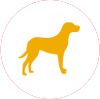Large Icon Hover
