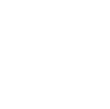 Large Icon