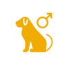 Male Icon Hover