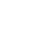 Toy Icon