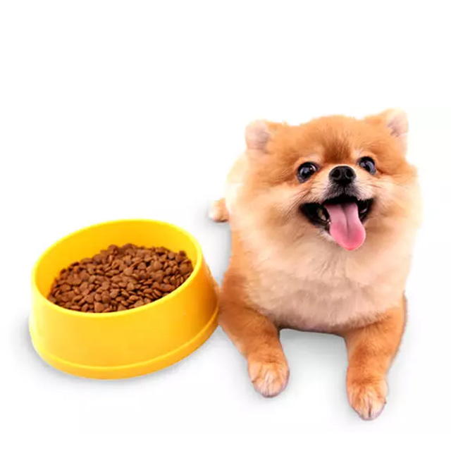 Kibble Size: Why It Matters For Small Breed Dogs