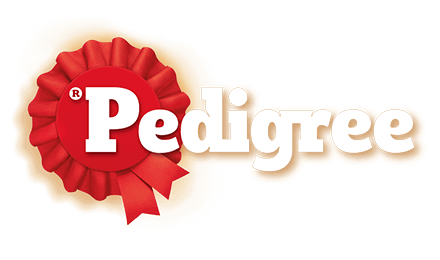 PEDIGREE VN